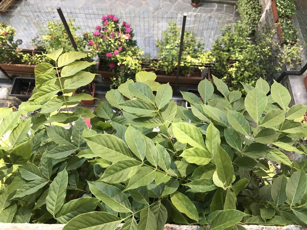 Ventiquattro Ore Vacanze Ξενοδοχείο Agrano Εξωτερικό φωτογραφία